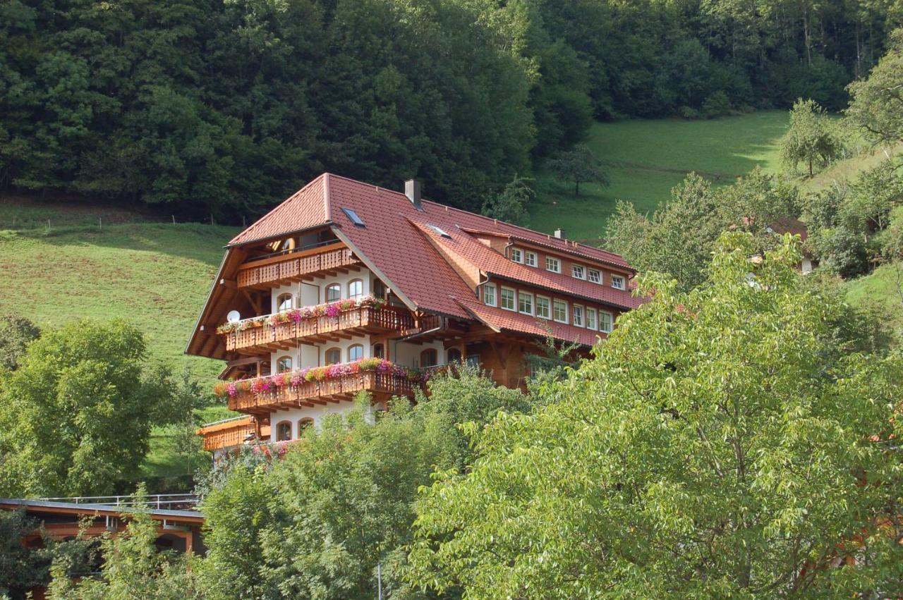 Aparthotel Ehrenmaettlehof Faisst Bad Peterstal-Griesbach Exterior foto