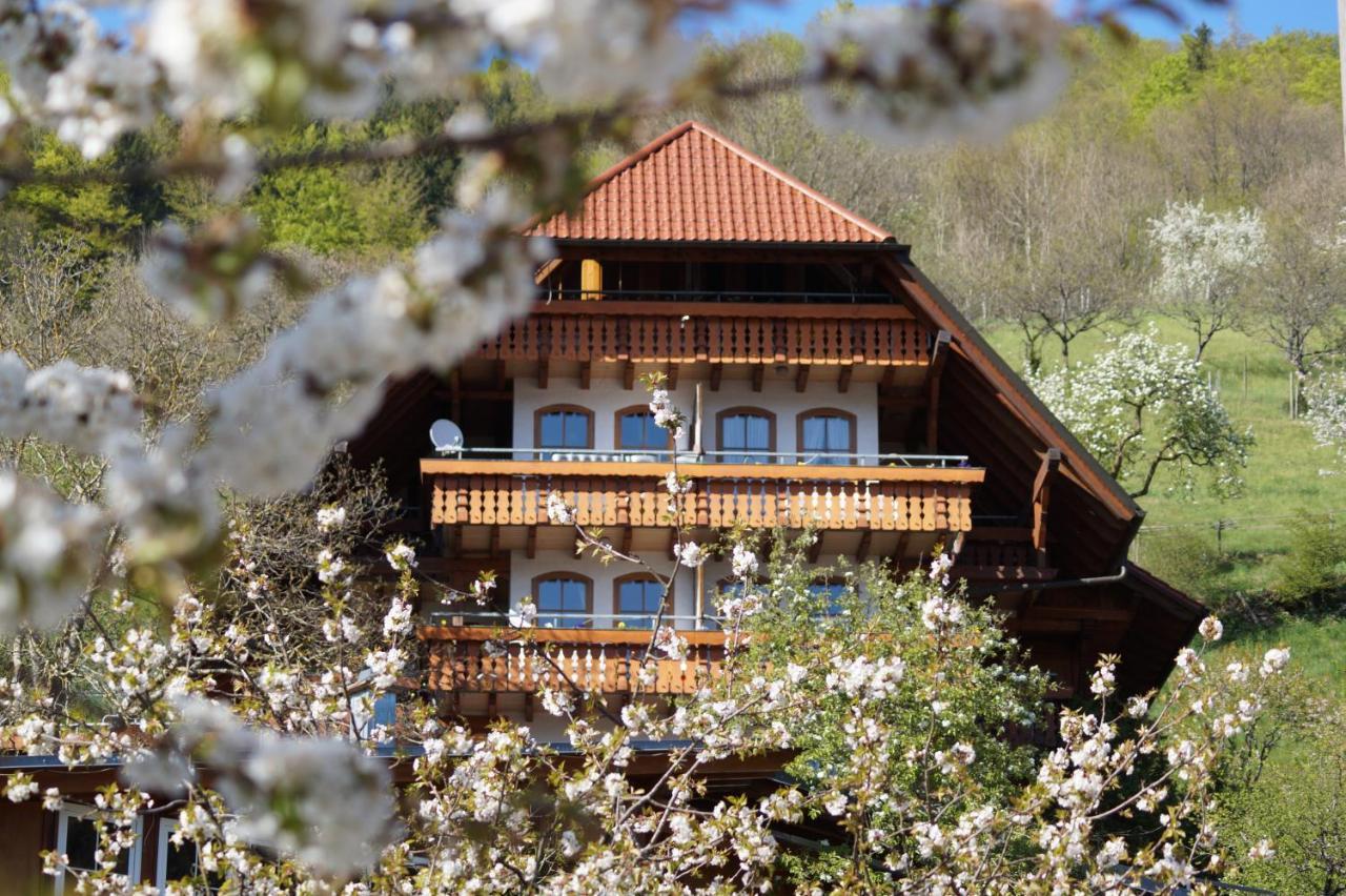Aparthotel Ehrenmaettlehof Faisst Bad Peterstal-Griesbach Exterior foto