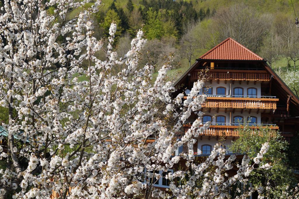 Aparthotel Ehrenmaettlehof Faisst Bad Peterstal-Griesbach Habitación foto