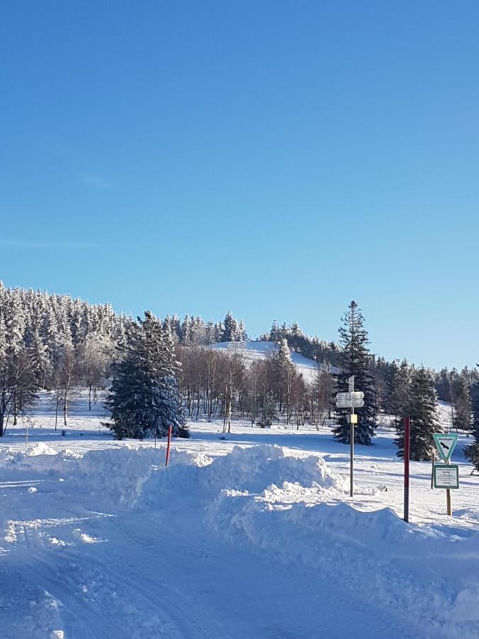 Aparthotel Ehrenmaettlehof Faisst Bad Peterstal-Griesbach Exterior foto