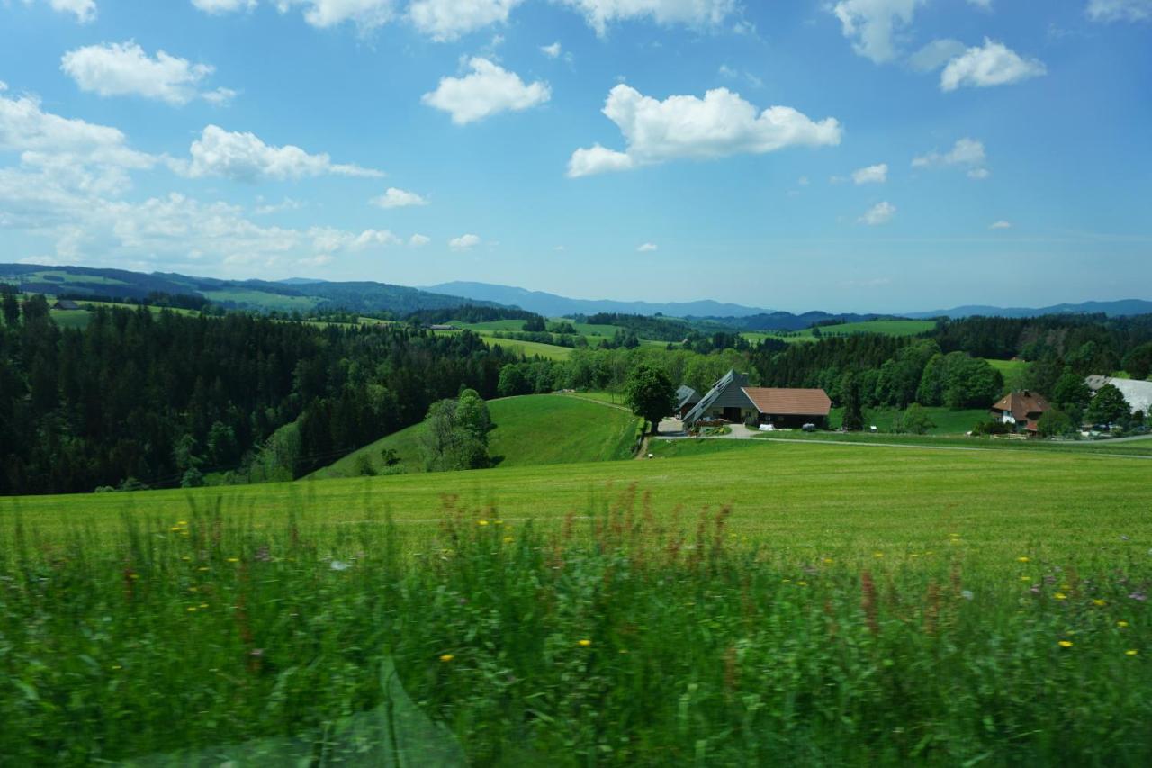 Aparthotel Ehrenmaettlehof Faisst Bad Peterstal-Griesbach Exterior foto