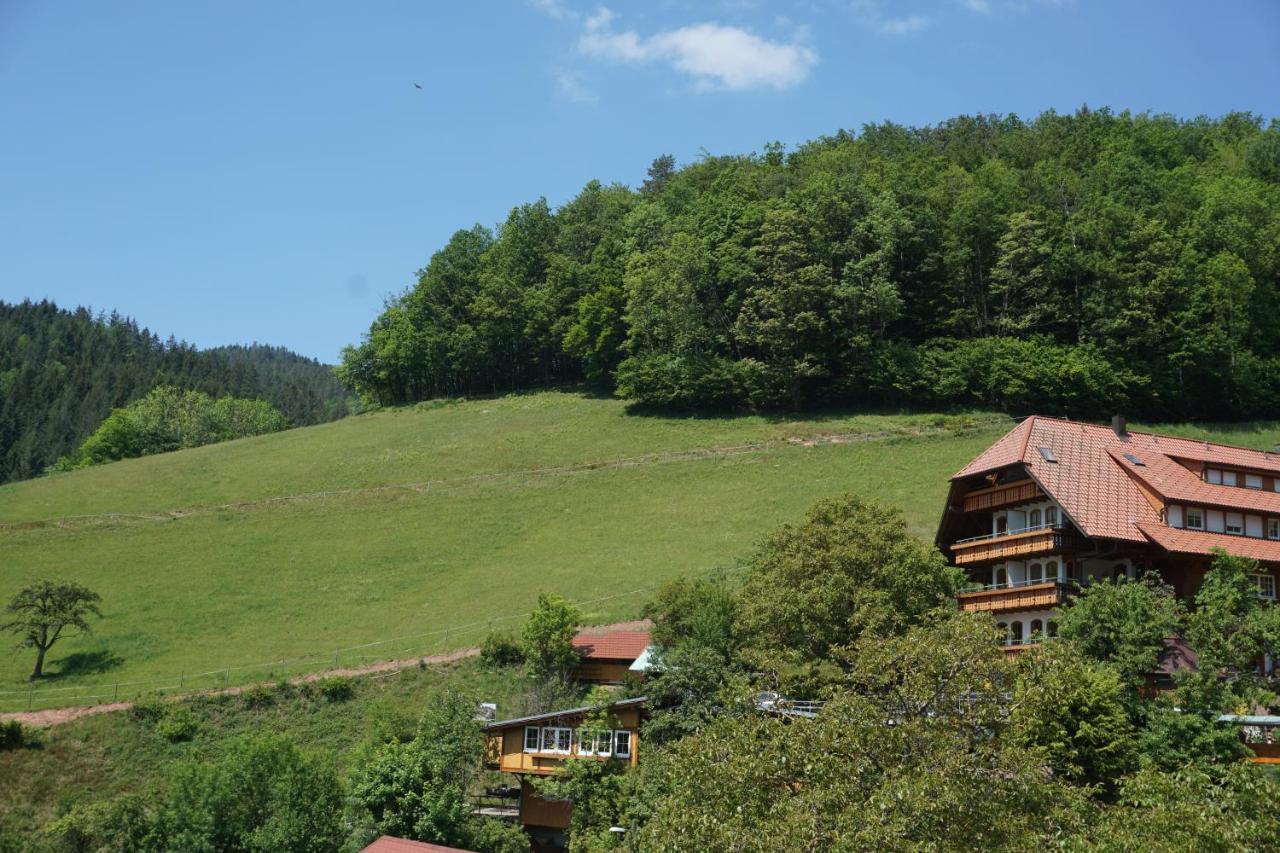 Aparthotel Ehrenmaettlehof Faisst Bad Peterstal-Griesbach Exterior foto